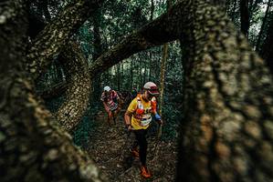 BIB: 
                            <button type="button" onclick="openModal(25676026)" class="btn btn-primary btn-sm float-right btn-popup" data-toggle="modal" data-target=".modal-high-quality">
                        <i class="fas fa-shopping-cart"></i> Add to Cart
                    </button>
                                            <button type="button" onclick="isThisMe(25676026, true)" class="btn btn-success btn-sm float-right btn-popup btn-isme hidden" data-toggle="tooltip" data-placement="bottom" title="นี่คือรูปของคุณใช่ไหม คลิกที่นี่เพื่อเอาเข้าอัลบั้ม">
                        <i class="fas fa-plus"></i> Add to album
                    </button>
                    <button type="button" onclick="isThisMe(25676026, false)" class="btn btn-warning btn-sm float-right btn-popup btn-isnotme hidden">
                        <i class="fas fa-ban"></i> Remove from album
                    </button>